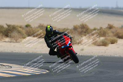 media/Mar-28-2022-Superbike Trackdays (Mon) [[b8603d0f67]]/Open Track Time/Turn 16/